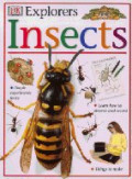 Insects